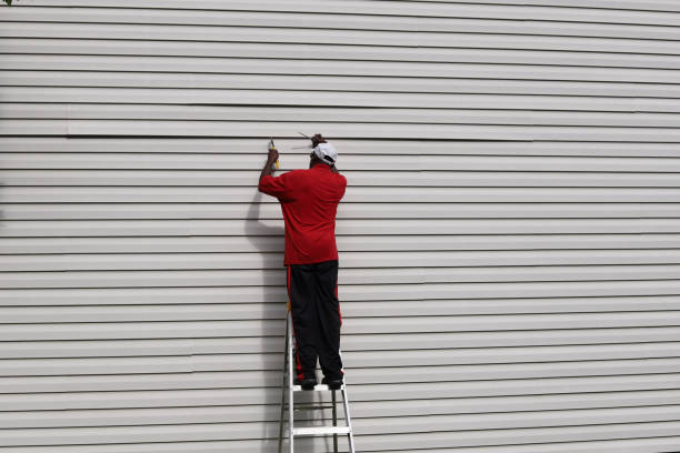 Best Custom Trim and Detailing for Siding  in Akron, IN